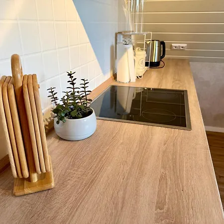 Wildblume Meissner * Wellingerode