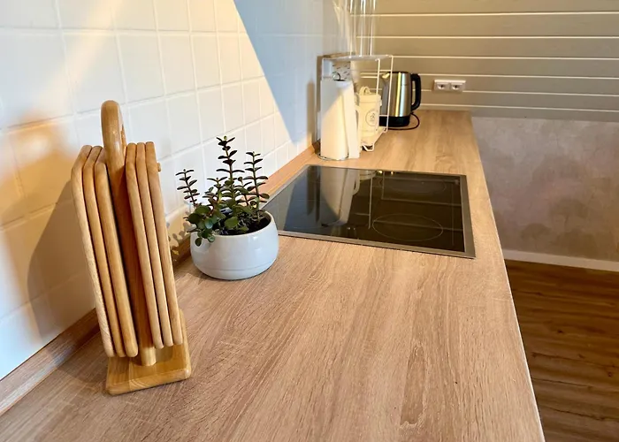 Wildblume Meissner * Wellingerode